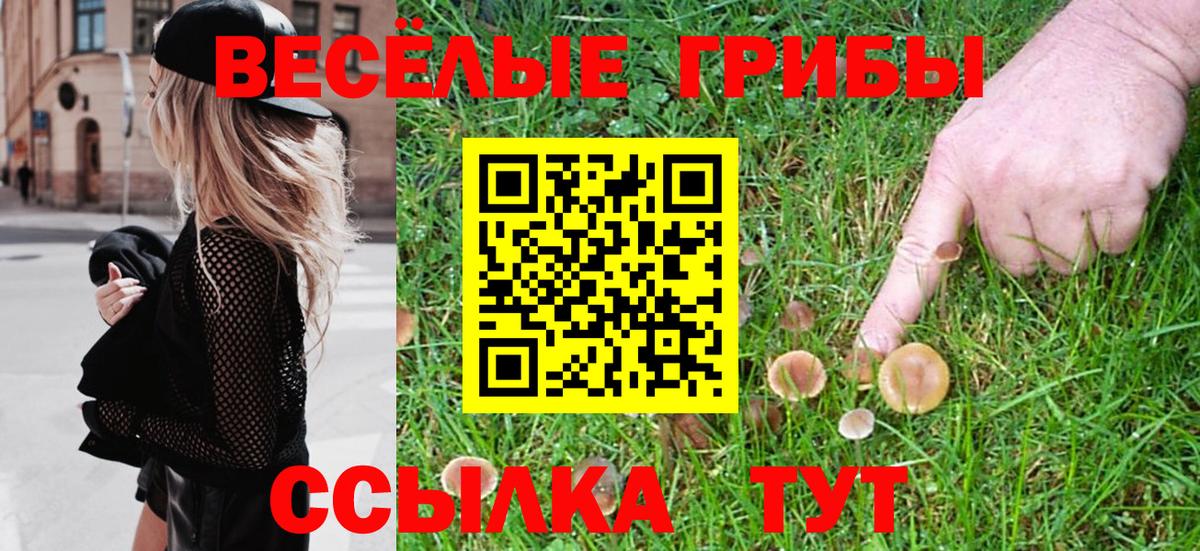 Галлюциногенные грибы мицелий  Галлюциногенные грибы Psilocybe  Вход с VPN  Гусь-Хрустальный 